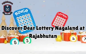 dear lottery nagaland